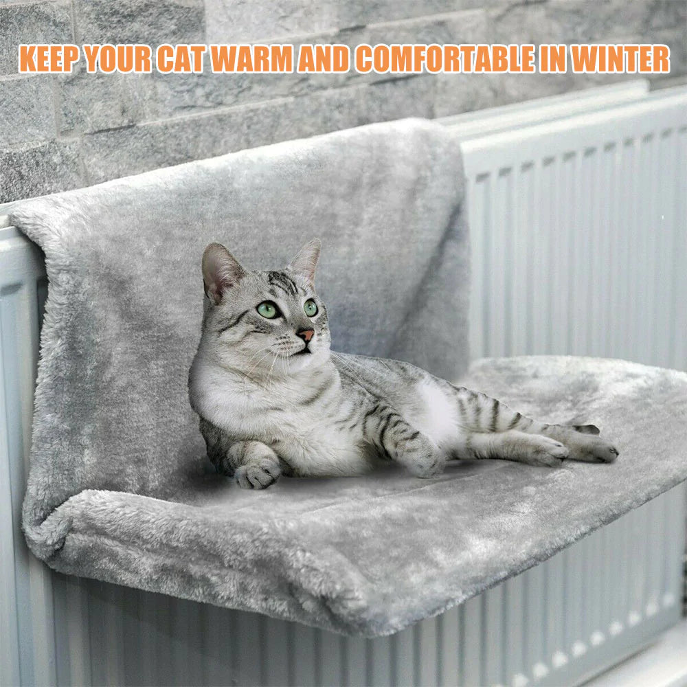 a cat sitting on top of a couch 