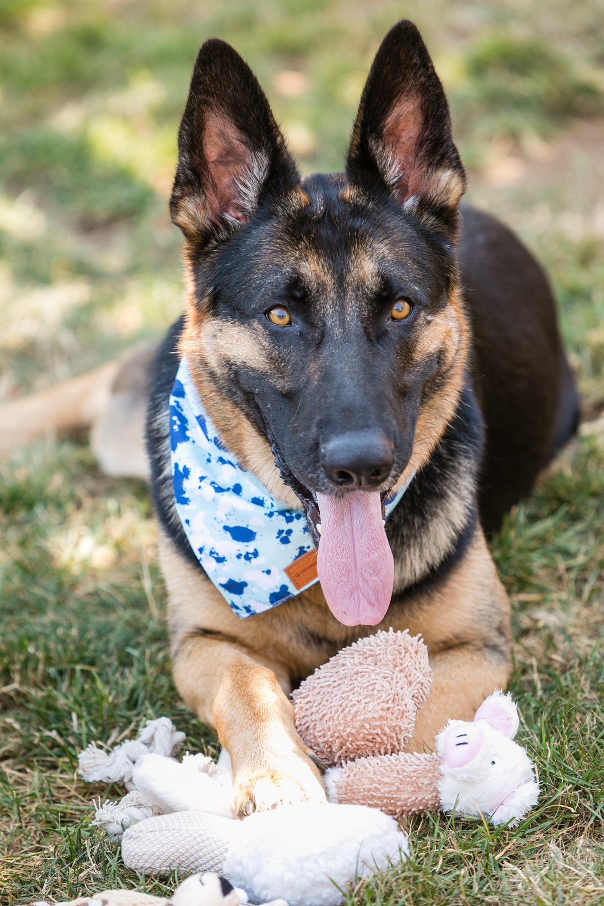 Adorable Plush Dog Toy Set