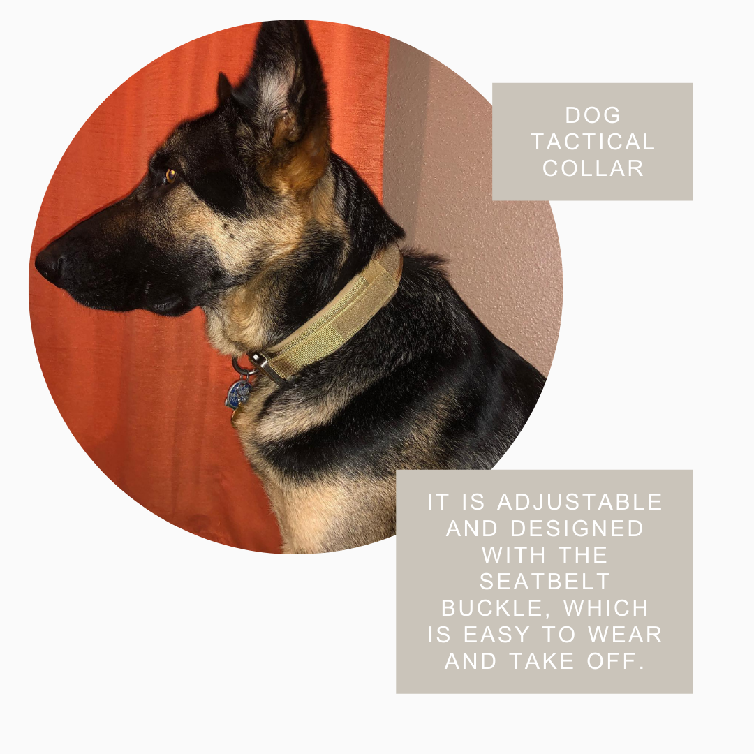 Durable Military Style Tactical Dog Collar